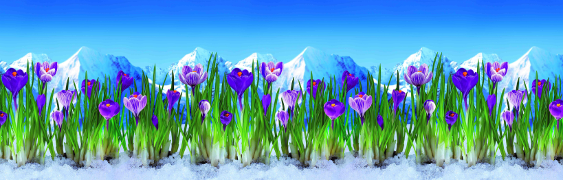 Кухонный фартук Шафран 2000x600x1.5 мм глянец