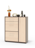 Обувницы, Обувница ТП-4