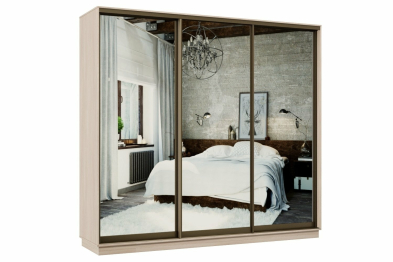 Шкаф-купе Премьер 53 Ясень шимо светлый