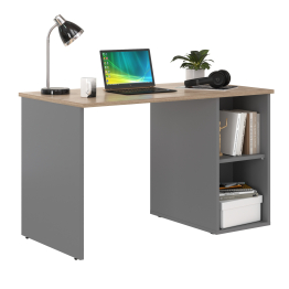 Стол письменный Лайт 12.163