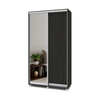 Шкафы-купе, Шкаф-купе 2-дв  Роланд Р422  (в2200*ш1200*г450)