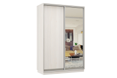 Шкафы-купе 2-х дверные, Шкаф-купе Премьер Лайт МИНИ 02 (02;01) двухдверный
