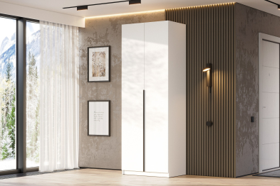 Шкаф распашной с наполнением ШК 5 (800)