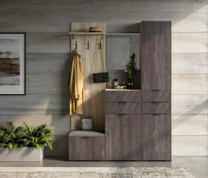 Шаде, дуб серый, черный ясень Мебель для прихожей