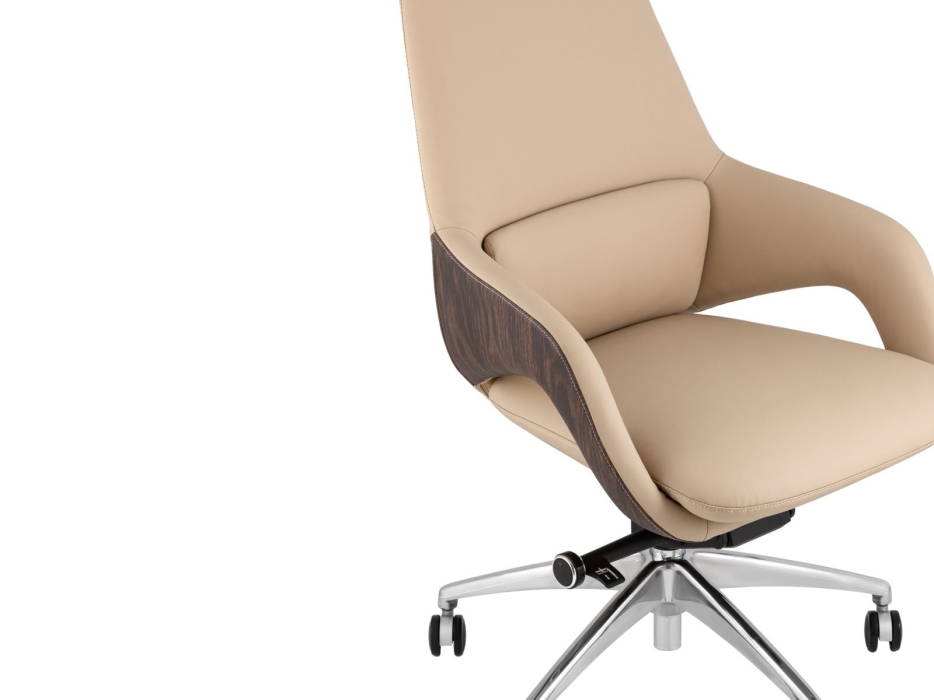 Для офиса и дома, Кресло офисное TopChairs Reign