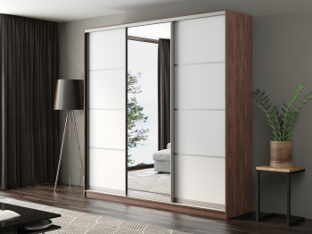 Шкаф-купе Айсберг 250 ШАМОНИ ТЕМНЫЙ (белый/зеркало)