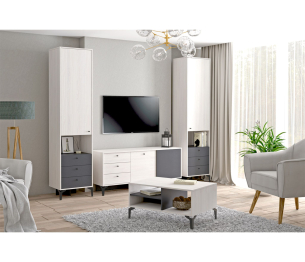 Гостиная Лион №1