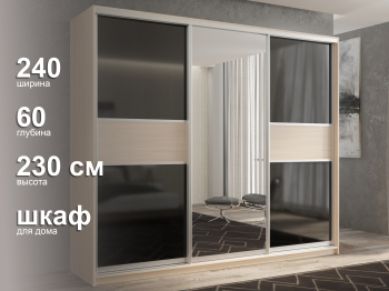 Шкаф-купе 3х дверный Кааппи 9 240х60