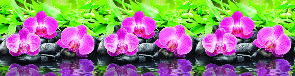 Кухонный фартук Орхидеи 2000x600x1.5 мм глянец