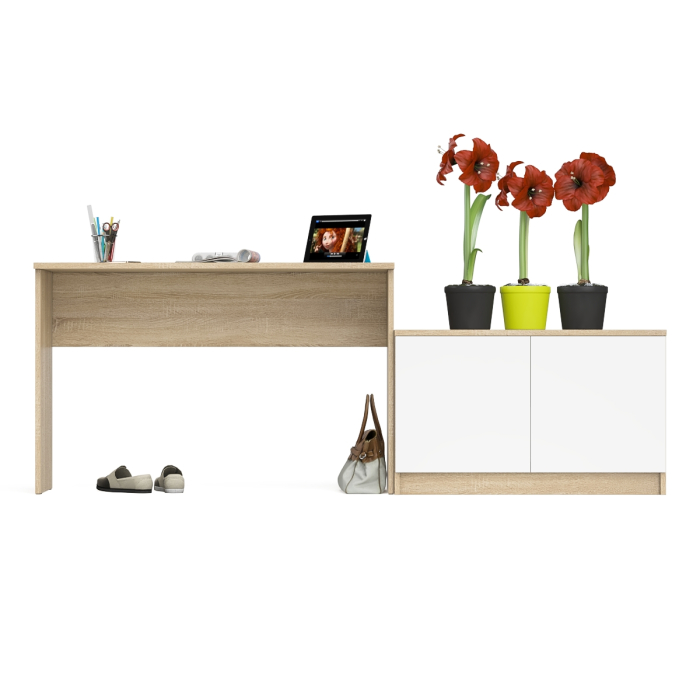 Прямые компьютерные столы, Стол письменный 1200 Мори с тумбой с дверками