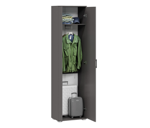 Эрика прихожая тип 2