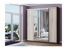 Шкафы-купе, Шкаф-купе Альянс-3 ЛДСП