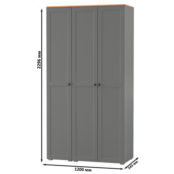 Прихожие, Шкаф для одежды и шкаф-пенал в прихожую Остин