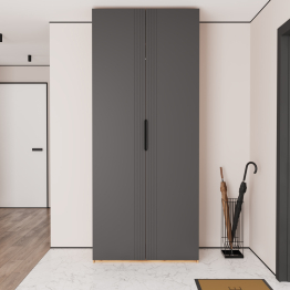 Шкаф распашной Астрис - 2