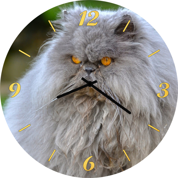 Часы, Часы SvS 3002050