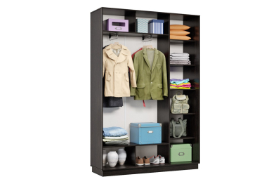 Шкаф-купе Премьер 09 венге