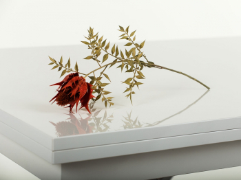 Стол-трансформер Slide (глянец/опоры нержавеющая сталь)