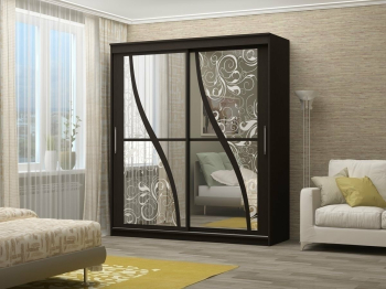 Шкаф-купе Олимп 2