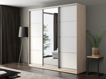 Шкаф-купе Айсберг 250 ШАМОНИ СВЕТЛЫЙ (белый/зеркало)