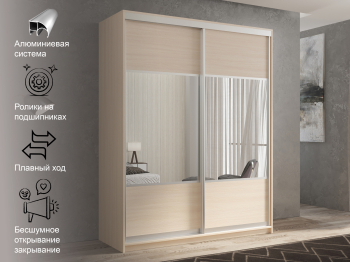 Шкаф-купе 2х дверный Кааппи 6 160х60