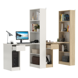 Два письменных стола Лайт 10.01 со шкафом с полками