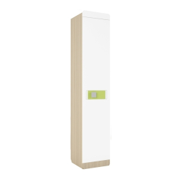 Шкаф-пенал Луиза ШК-1 