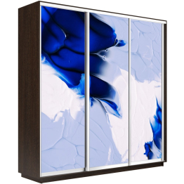 Шкаф-купе Экспресс 1010, 180х45х240