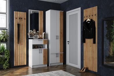 Шкаф Кано КПШ-1