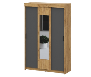 Шкаф-купе Вена ШК 101