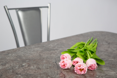 Обеденная группа ПФ/Венски