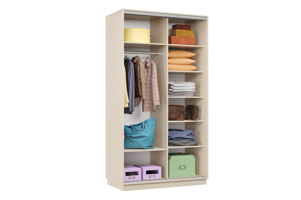 Шкафы-купе, Шкаф-купе Премьер Лайт 04 (08;11) двухдверный