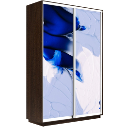 Шкаф-купе Экспресс 1010, 160х45х220