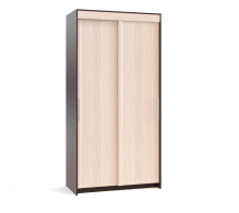 Шкафе-купе 2-х дверные, Шкаф-купе Контур ШР-124.2