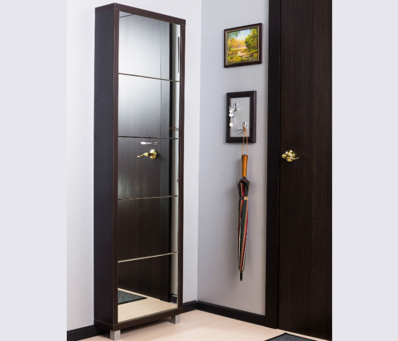 Обувницы, Шкаф обувной люкс зеркало