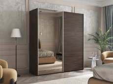 Шкафы-купе 2-х дверные, Шкаф-купе Эста ДСП+Зеркало 200х66х240