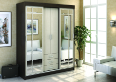 Шкафы-купе, Шкаф-купе Андрей-1