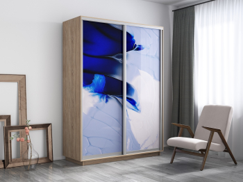 Шкаф-купе Экспресс 1010, 120х60х240