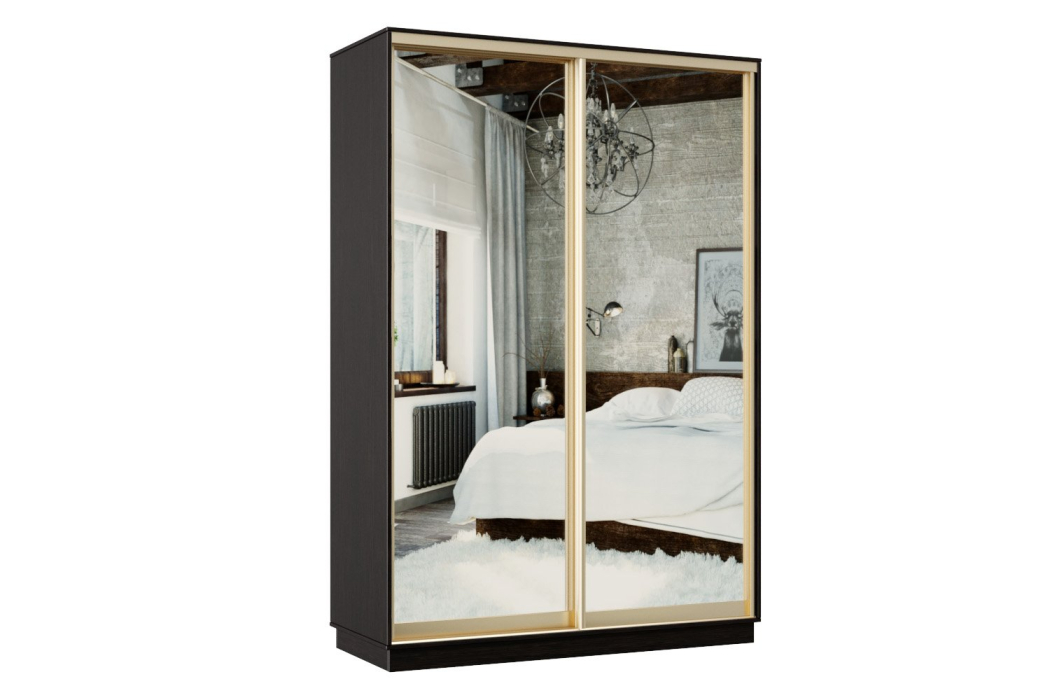 Шкафы-купе, Шкаф-купе Премьер 09 венге