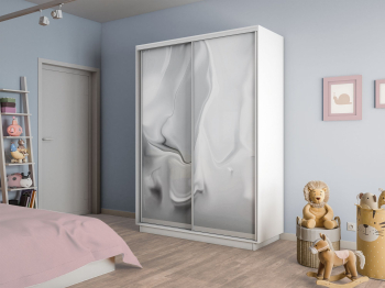 Шкаф-купе Экспресс 2-х дверный Фотопечать Шелк Стекла 120х45х220