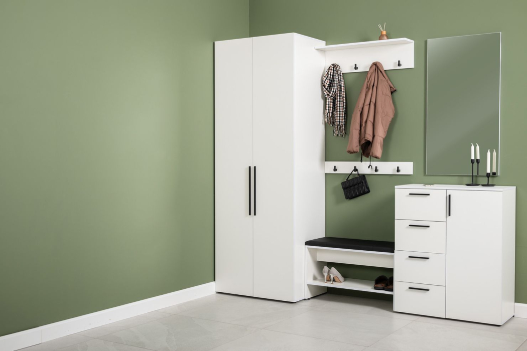 Прямые, Шкаф для одежды Эйр 13.341