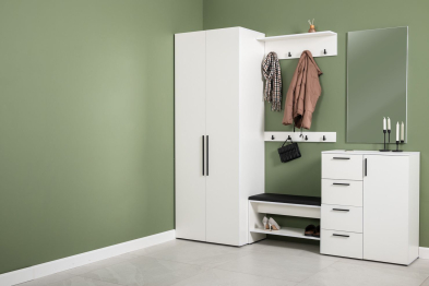 Шкаф для одежды Эйр 13.341