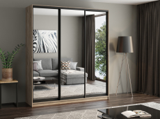 Шкафы-купе, Шкаф купе 3-х дверный АЙСБЕРГ ЛОФТ 220 /зеркало