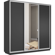 Шкафы-купе 3-х дверные, Шкаф-купе Экспресс Медиум (1 зеркало) трио 2400 x 2100 x 450