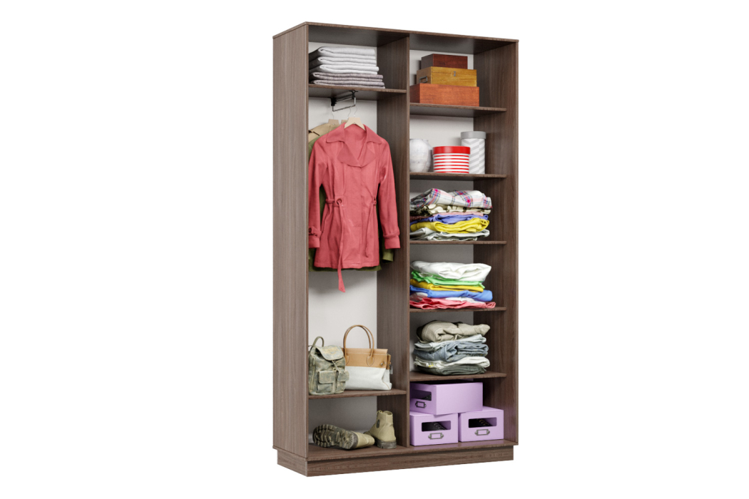 Шкафы-купе, Шкаф-купе Премьер Лайт 01 (08;08) двухдверный