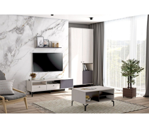 Тумба Т-1 Лион