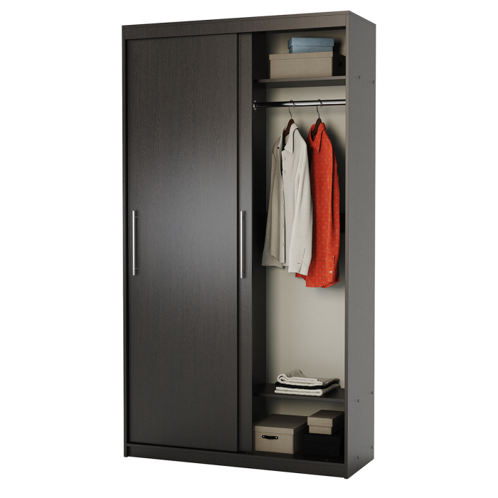 Шкафы-купе 2-х дверные, Шкаф-купе 2-х дверный Эконом платяной 100х60х200