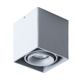 Потолочный светильник PICTOR 1п