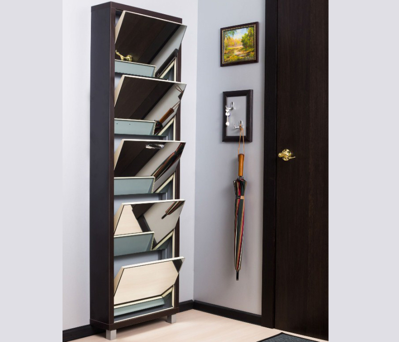 Обувницы, Шкаф обувной люкс зеркало