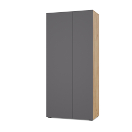 Модульная система Челси Ч50 Шкаф угловой