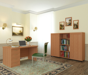 Кабинет-библиотека  ПРЕМЬЕР-8